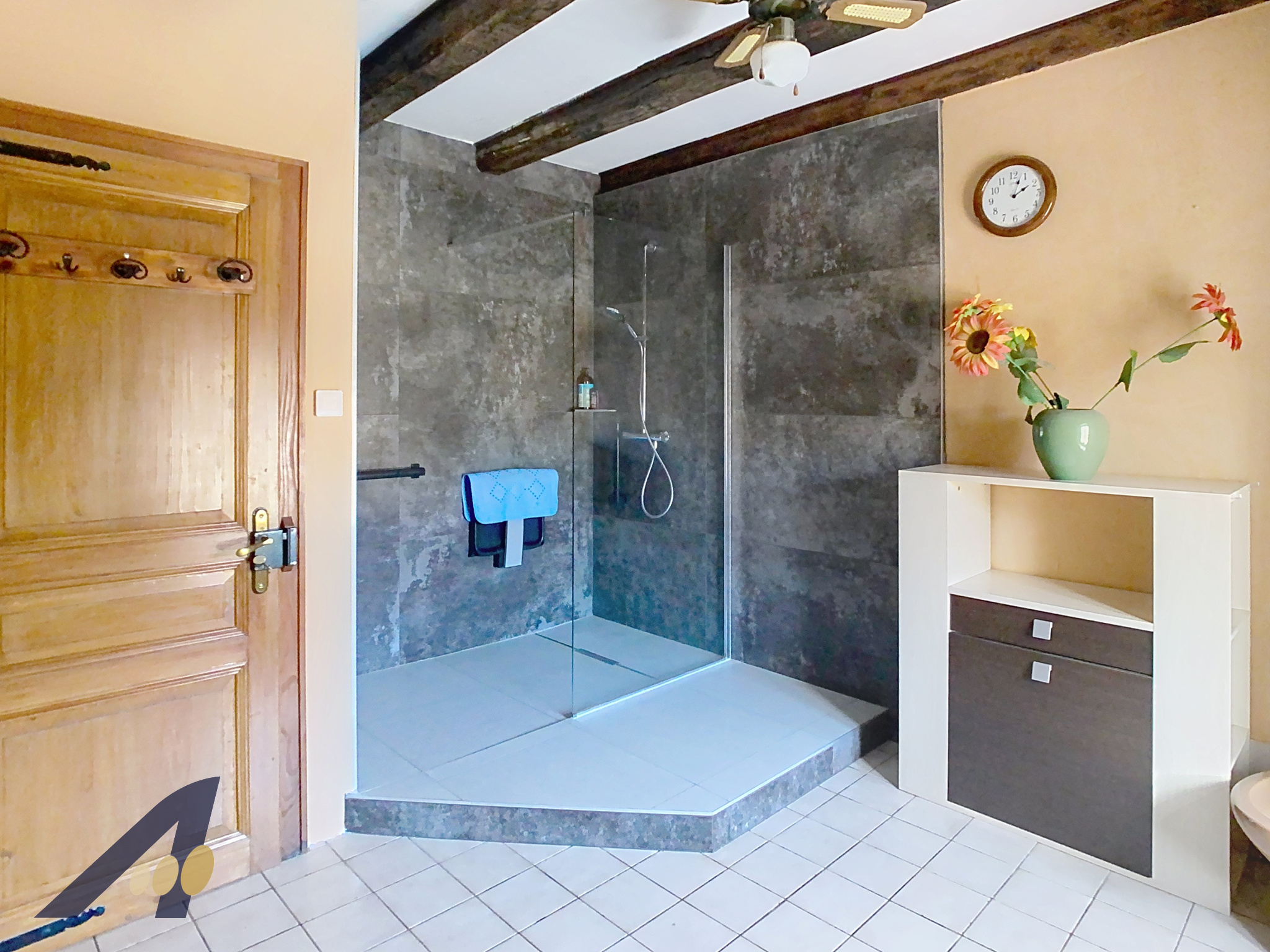 Maison 6 pièces BADEVEL – 169 hab, 17 ares de terrain… — photo 8